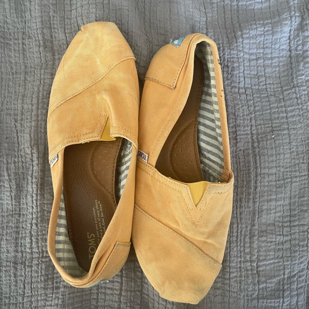 Golden Yellow Toms